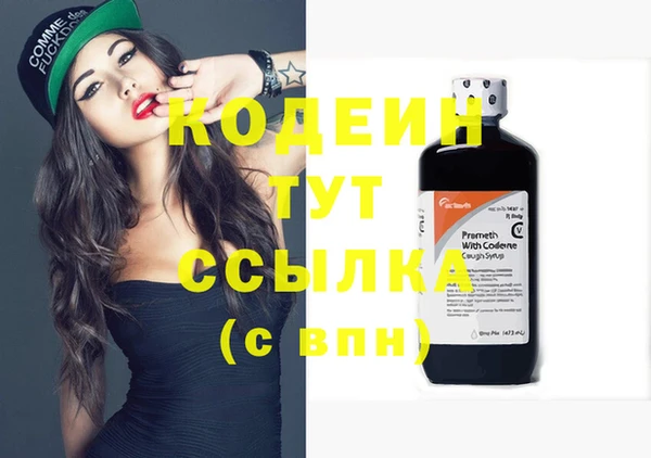 spice Новодвинск