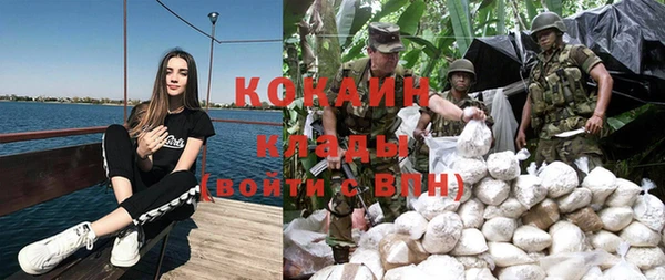 spice Новодвинск