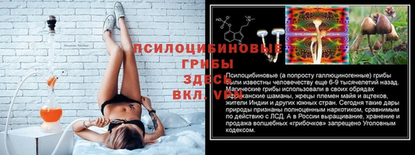 мяу мяу мука Новокубанск